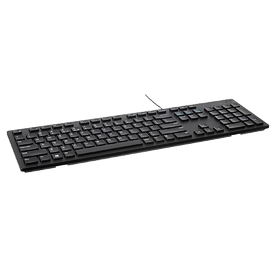 Dell KB216-Black Multimedia Wired Keyboard with USB Interface, Plunger Keys Technology and Chiclet Key Style, Hot Key-Volume, Mute, Play/Pause, Backward, Forward, Warranty 3 Years
